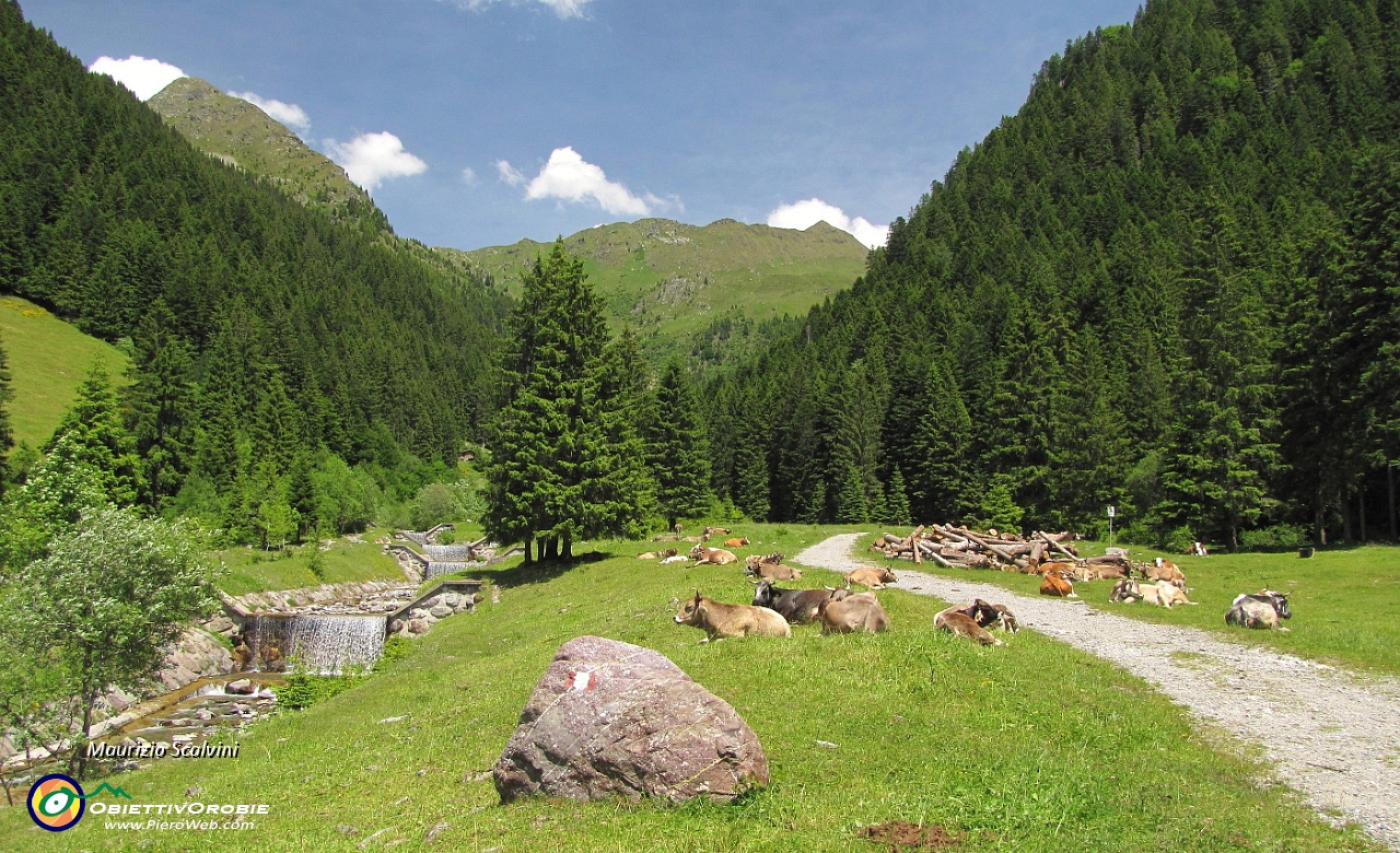 81 Il vallone della Madonna delle Nevi....JPG